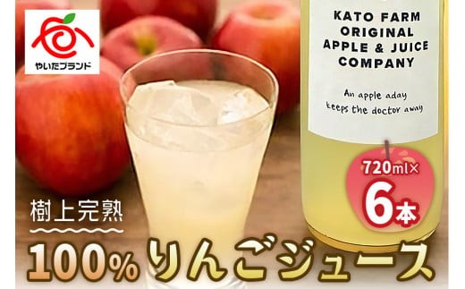 【定期便12回】栃木県矢板市産 樹上完熟100％りんごジュース 720ml×6本入  | 林檎 リンゴ 果汁100% 産地直送 (毎月お届け）  