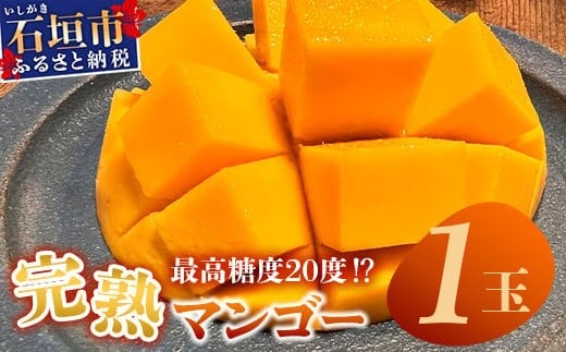 《2026年6月下旬～7月下旬発送》【先行予約】最高糖度20度！？ 完熟！3Lサイズ 石垣島マンゴー 約400g【 沖縄 石垣島 石垣 八重山 マンゴー 完熟マンゴー 期間限定 数量限定 沖縄県 石垣島産 】TF-10-1_R8 1189965 - 沖縄県石垣市