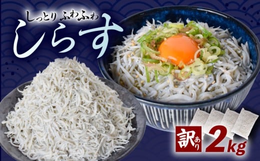 【訳あり】釜揚げしらす 2kg 2258541 - 高知県安芸市