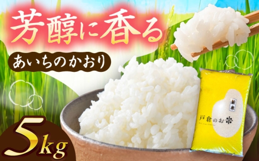 ＼10月より順発送／ 【令和7年度産 新米 】あいちのかおり  白米  5kg  お米  ご飯  愛西市 / 株式会社戸倉トラクター [AECS001] 1456520 - 愛知県愛西市