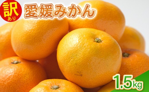 訳あり愛媛みかん 1.5kg 温州みかん みかん 先行予約 柑橘 傷み補償 不揃い みかん ミカン 蜜柑 サイズミックス 規格外 フルーツ 果物 フルーツ果物 先行受付 常温 愛南町 青果市場 愛媛県
