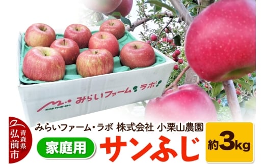 【25年12月発送】りんご【家庭用】サンふじ 約3kg【レビューキャンペーン】 1033758 - 青森県弘前市