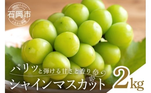 【 2025年 先行予約 】 シャインマスカット 2kg 石田ぶどう園 3房 ～ 5房 種なし ぶどう ブドウ 国産 果物 くだもの 大粒 葡萄 種無し フルーツ 2キロ 9月 10月 発送 秋 旬 品種 茨城県産 産地直送 産直 農家直送 冷蔵 茨城県 石岡市 (A02-015) 791510 - 茨城県石岡市