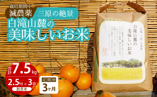 【3か月定期便】≪栽培期間中減農薬≫ 三原の絶景白滝山麓の美味しいお米 胚芽米 2.5kg×3回 2025年10月発送予定 瀬戸内ビオファーム ご飯 米 おこめ 002019 1530890 - 広島県三原市