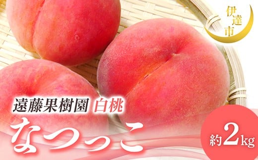 【2026年出荷分先行予約】福島県産 なつっこ 約2kg (5～9玉) 遠藤果樹園 贈り物 贈答 ギフト 伊達の桃 桃 フルーツ 果物 もも モモ momo F21C-006