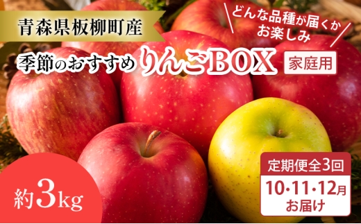 【定期購入3回】【どんな品種が届くかお楽しみ】季節のおすすめりんごBOX/家庭用/詰め合わせ/10月・11月・12月/約3kg　青森県　りんご　リンゴ　林檎　フルーツ　くだもの　果物