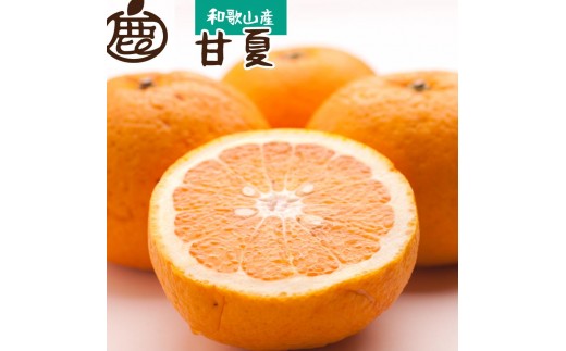 ［先行予約］厳選 甘夏柑5kg+250g（傷み補償分）［初夏のみかん・旬の果物］［有田産］［光センサー食べ頃出荷］［IKE72］ 569427 - 和歌山県九度山町