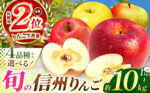 【先行予約】旬のおまかせりんご 約10kg(28～40玉)【9月中旬頃～発送予定】 シナノゴールド・シナノスイート・ぐんま名月から旬のりんごをお届け！ | 果物 くだもの フルーツ 林檎 りんご リンゴ シナノゴールド シナノスイート ぐんま名月 おまかせ  長野県 塩尻市