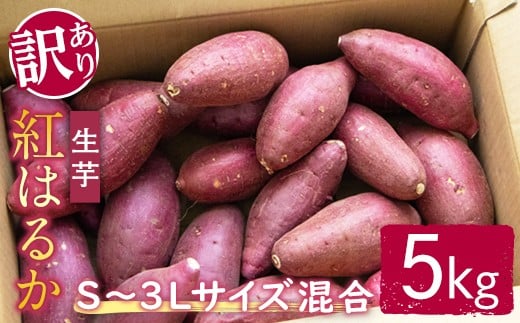 【予約受付中！】【訳あり】サツマイモ（紅はるか） 5kg S～3Lサイズ混合 訳あり わけあり さつまいも サツマイモ べにはるか 紅はるか 生芋 なまいも 常温 ＜2025年12月以降順次発送＞ 【桑原農園】【ho1580】