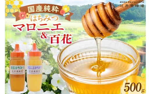 【国産純粋 マロニエはちみつ 百花はちみつ 各250g 計500g ポリ容器】国産 純粋 マロニエ 百花 はちみつ ハチミツ 蜂蜜 栃の木 紅茶 パン ヨーグルト おすすめ 兵庫県 香美町 辻井養蜂場 81-03