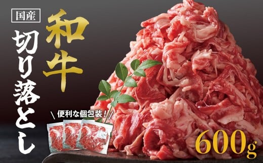 国産和牛切り落とし600ｇ 2133525 - 鹿児島県大崎町