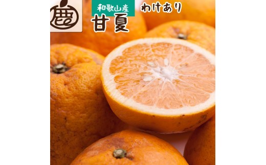 ［先行予約］家庭用 甘夏柑5kg+250g（傷み補償分）［初夏のみかん・旬の果物］［有田産］［光センサー食べ頃出荷］［わけあり・訳あり］［IKE75］ 569428 - 和歌山県九度山町