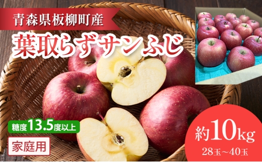【園地指定・情熱葉取らずサンふじ】糖度13.5度以上/家庭用サンふじ/約10kg/葉取らず　青森県　りんご　リンゴ　林檎　フルーツ　くだもの　果物