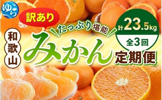 ＼たっぷり23.5kg！／【3か月定期便】訳ありみかんの定期便 / 温州みかん 不知火 清見オレンジ 定期便 果物 柑橘 由良町 フルーツ くだもの 産地直送 ミカン 和歌山【tkb113】