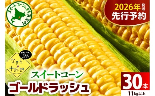 【先行受付】【2026年7月下旬~8月15日頃配送】北海道十勝芽室町 なまら十勝野のスイートコーン ゴールドラッシュ(30本) me001-011c-26