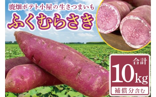 [先行予約]鹿畑ポテト小屋の生さつまいも ふくむらさき 計 約10kg(8kg+約25%補償分)[鹿嶋市 減農薬 熟成 貯蔵 サツマイモ 紫いも 甘い 10キロ 15000円以内] (KBR-13)