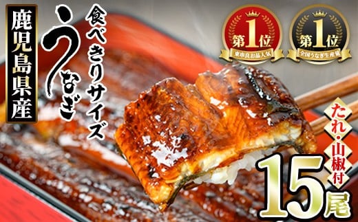 【0554327a】＜食べきりサイズ！＞東串良町のうなぎ蒲焼(無頭)(15尾・計1500g・タレ、山椒付) うなぎ 高級 ウナギ 鰻 国産 蒲焼 蒲焼き たれ 鹿児島 ふるさと 人気 【アクアおおすみ】