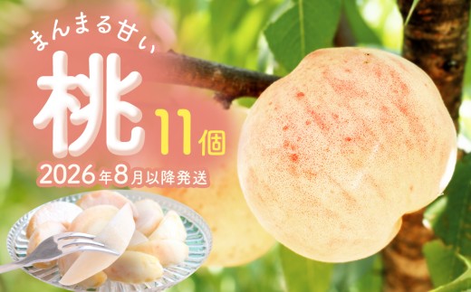 [先行受付]富山県産 桃 11個 [2026年8月以降順次発送] もも 果物 産地直送 期間限定 富山県 氷見市