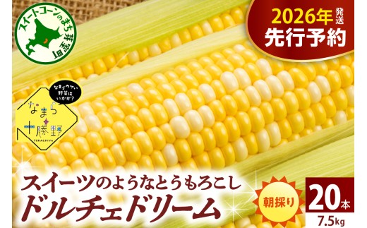 【先行受付】【2026年7月下旬～8月15日頃配送】北海道十勝芽室町 なまら十勝野　ドルチェドリーム(20本) 　me001-045c-26 1339891 - 北海道芽室町