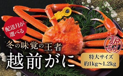 【2026年3月発送・月指定可】越前がに（オス）「ずわいがに」特大（1.0-1.2kg） 訳あり 1杯
