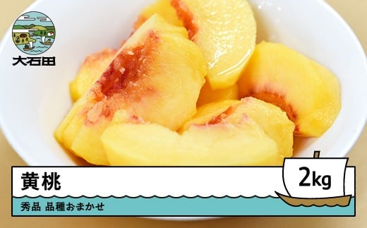 【先行予約】黄桃 品種おまかせ 約2kg 2026年産 令和8年産 果物 ふるさと納税 果物 くだもの フルーツ 期間限定 冷蔵配送 先行受付 グルメ 取り寄せ ご当地 特産 産地 直送 送料無料 東北 山形県 人気  山形県 ry-mootx2000 2202216 - 山形県大石田町