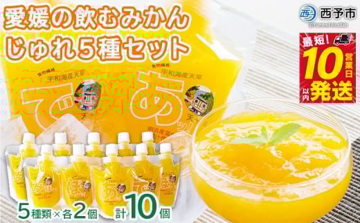 ＜愛媛の飲むみかんじゅれ 5種セット 計10個(5種類×各2個)＞ 飲むゼリー 果物 温州みかん 伊予柑 デザート スイーツ あけはまシーサイドサンパーク 贈答用 愛媛県西予市【常温】『最短10営業日以内に順次発送予定』