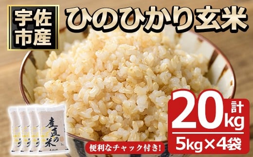 ＜先行予約受付中！2025年11月中旬以降順次発送予定＞＜令和7年産・新米＞ひのひかり 玄米(計20kg)お米 20キロ ヒノヒカリ 真空パック 真空包装 【114900600】【祥田産業】 1135074 - 大分県宇佐市