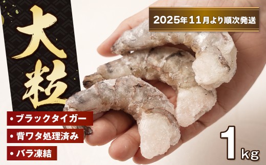 至福の大粒むきえび　背ワタ処理済 1kg【2025年11月より順次発送】　　[ムキエビ 大型 背わたなし むき海老 ブラックタイガー 下処理済み 冷凍 背ワタなし 高級]