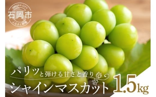 【 2025年 先行予約 】 シャインマスカット1.5kg 石田ぶどう園 3房 ～ 4房 種なし ぶどう ブドウ 国産 果物 くだもの 大粒 葡萄 種無し フルーツ 1.5キロ 9月 10月 発送 秋 旬 品種 茨城県産 産地直送 産直 農家直送 冷蔵 茨城県 石岡市 (A02-010) 870493 - 茨城県石岡市