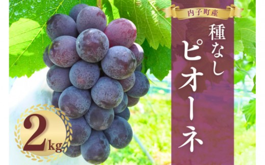 内子町産　種無しピオーネ2kg