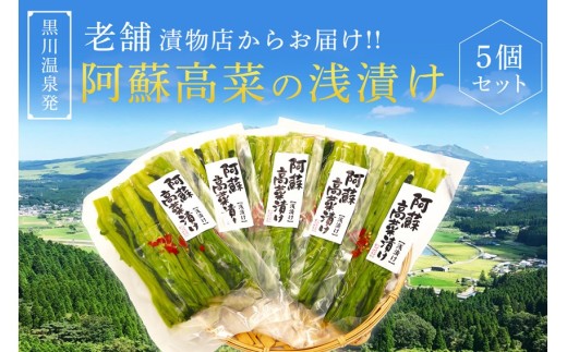 【黒川温泉発】阿蘇高菜の浅漬け（5個入） 阿蘇高菜 浅漬け 160g 5個 高菜 漬物 高菜漬け 高菜漬物 お取り寄せ ギフト 贈答用 黒川温泉 九州 熊本 阿蘇 南小国町 送料無料