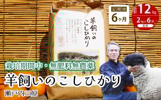 【6か月定期便】《栽培期間中・無肥料無農薬》瀬戸内三原 羊飼いのこしひかり 玄米 2kg×6回 2025年9月上旬発送予定 瀬戸内ビオファーム お米 こめ ご飯 002017