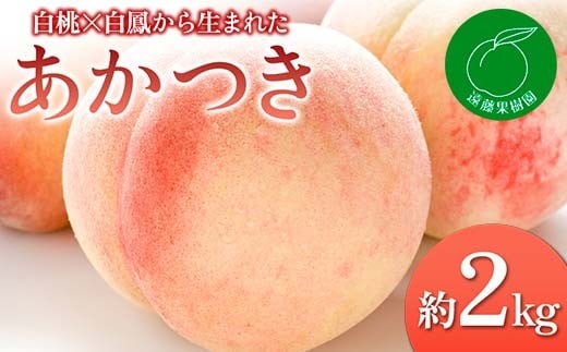 【2026年出荷分先行予約】福島県産 あかつき 約2kg (5～9玉) 遠藤果樹園 伊達の桃 桃 フルーツ 果物 もも モモ momo F20C-829