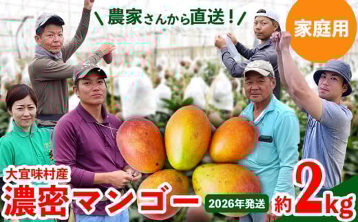 【2026年発送】ご家庭用!濃密マンゴー《家庭用・約2kg》農家さんより直送! 家庭用 先行予約 沖縄 甘味 糖度 濃厚 おいしい お土産 まんごー アーウィン 果物 くだもの 果実 送料無料 ふるさと納税 2キロ トロピカル 箱入り 食べ物 フルーツ