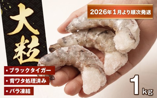 至福の大粒むきえび　背ワタ処理済 1kg【2026年1月より順次発送】　　[ムキエビ 大型 背わたなし むき海老 ブラックタイガー 下処理済み 冷凍 背ワタなし 高級]
