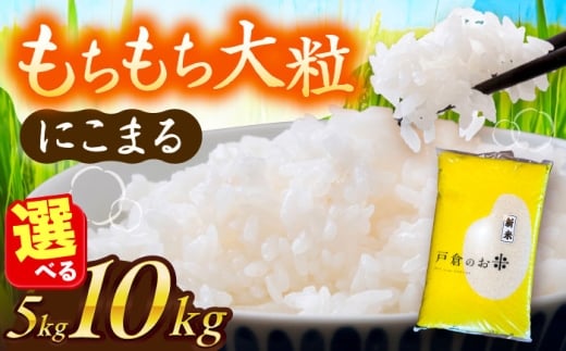 [選べる内容量] ＼毎年10月より順次発送/ [令和7年度産 新米 ] にこまる 白米 お米 ご飯 精米 愛西市 / 株式会社戸倉トラクター [AECS055][AECS056]