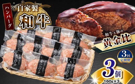 【定期便3回】自家製和牛ハンバーグ(生・冷凍個別真空)3個セット | 牛肉 牛 肉 にく 和牛 かずさ和牛 国産 ハンバーグ 新鮮 オススメ 千葉県 君津市 きみつ 2259221 - 千葉県君津市
