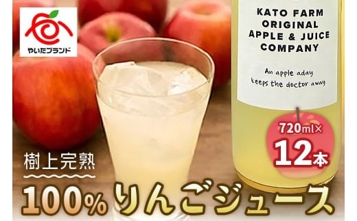 【定期便3回】栃木県矢板市産 樹上完熟100％りんごジュース 720ml×12本入  | 林檎 リンゴ 果汁100% 産地直送 (毎月お届け）  