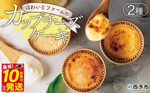 ＜ほわいとファームのカップチーズケーキ 2種 合計5個＞デザート スイーツ お菓子 洋菓子 バスクチーズケーキ ニューヨークチーズケーキ のし対応可 お祝い 内祝い ギフト 贈答 贈り物 プレゼント 愛媛県 西予市【冷凍】『最短10営業日以内に順次発送予定』