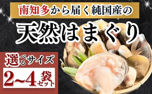 [サイズ 容量 選べる] 希少 天然 はまぐり 約1kg~2kg 小サイズ~特大サイズ 小分け 岬だより (500g×2袋 4袋) 冷凍 加熱処理済み 真空パック 簡単 便利 調理 はまぐり 贈答 ギフト 天然貝 魚貝 海鮮 魚介 新鮮 はまぐり 蛤 ハマグリ 蛤鍋 はまぐり はまぐり鍋 ふるさと納税貝 ふるさと納税はまぐり ふるさと納税ハマグリ ふるさと納税蛤 人気 おすすめ 愛知県 南知多町