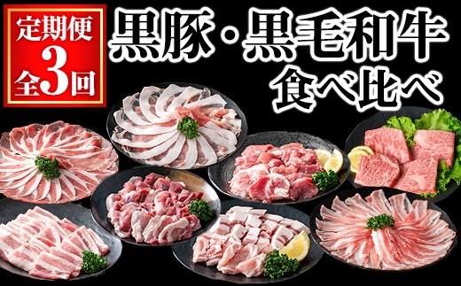 ＜定期便・全3回＞黒豚と黒毛和牛の食べ比べ定期便 (合計3.48kg) 豚肉 牛肉 冷凍  【KNOT】 T64