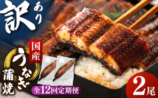 訳あり 鹿児島産 うなぎ 蒲焼 2尾セット