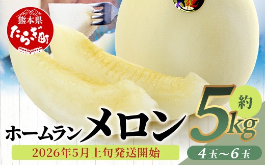 ホームラン メロン 5kg以上(4~6玉)