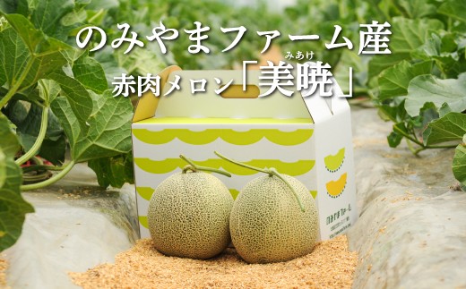[2026年分受付中]≪数量限定!≫のみやまファームの赤肉メロン「美暁」(各1.6kg以上を2玉) | ふるさと納税 北海道 三笠 メロン 2玉 フルーツ 果物 デザート グルメ 旬 贈り物 お取り寄せ ワンストップ マイページ のみやまファーム 三笠市[01167]
