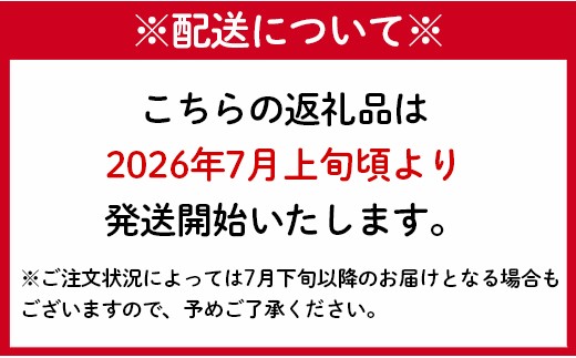 【2024年発送】【贈答用】島マンゴー園の完熟マンゴー Ａ品 2kg