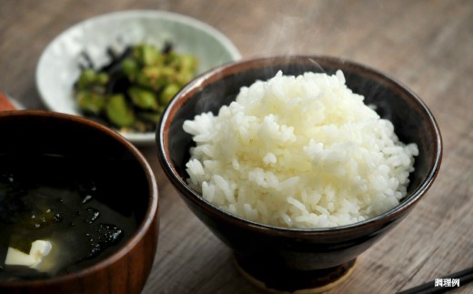 【令和7年産】10年連続優秀表彰受賞『ゆめぴりかの匠』 ゆめぴりか(5kg)《令和7年10月頃より発送予定》