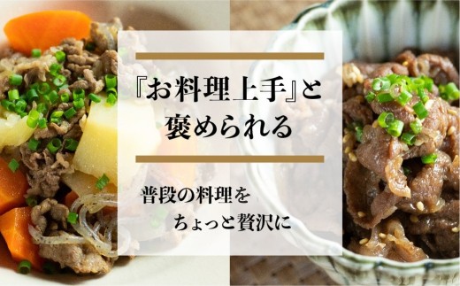 岐阜県飛騨市のふるさと納税 《すぐ届く!! 》【訳あり】うまい赤身にこだわった 牛飼いの和牛肉 切り落とし スライス 飛米牛 600g (300g×2) 牛肉 肉 和牛 黒毛和牛 国産 牛丼 焼肉 すき焼き 訳あり