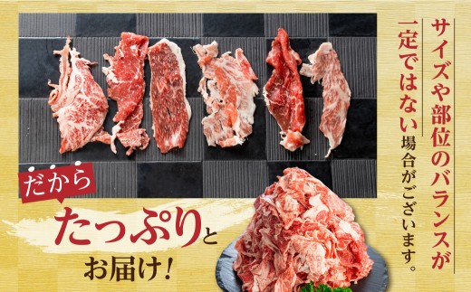岐阜県飛騨市のふるさと納税 《すぐ届く!! 》【訳あり】うまい赤身にこだわった 牛飼いの和牛肉 切り落とし スライス 飛米牛 600g (300g×2) 牛肉 肉 和牛 黒毛和牛 国産 牛丼 焼肉 すき焼き 訳あり