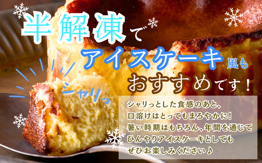 佐賀県佐賀市のふるさと納税 人気のバスクチーズケーキ食べ比べセット：B140-004