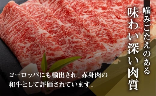 岐阜県飛騨市のふるさと納税 《すぐ届く!! 》【訳あり】うまい赤身にこだわった 牛飼いの和牛肉 切り落とし スライス 飛米牛 600g (300g×2) 牛肉 肉 和牛 黒毛和牛 国産 牛丼 焼肉 すき焼き 訳あり